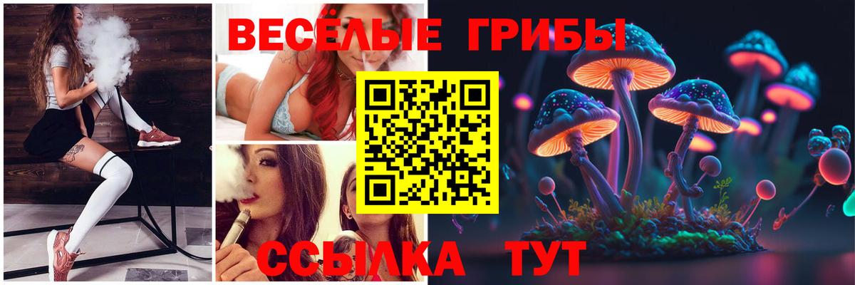 Людиново  Галлюциногенные грибы ЛСД  Вход с VPN  Галлюциногенные грибы Psilocybine cubensis 